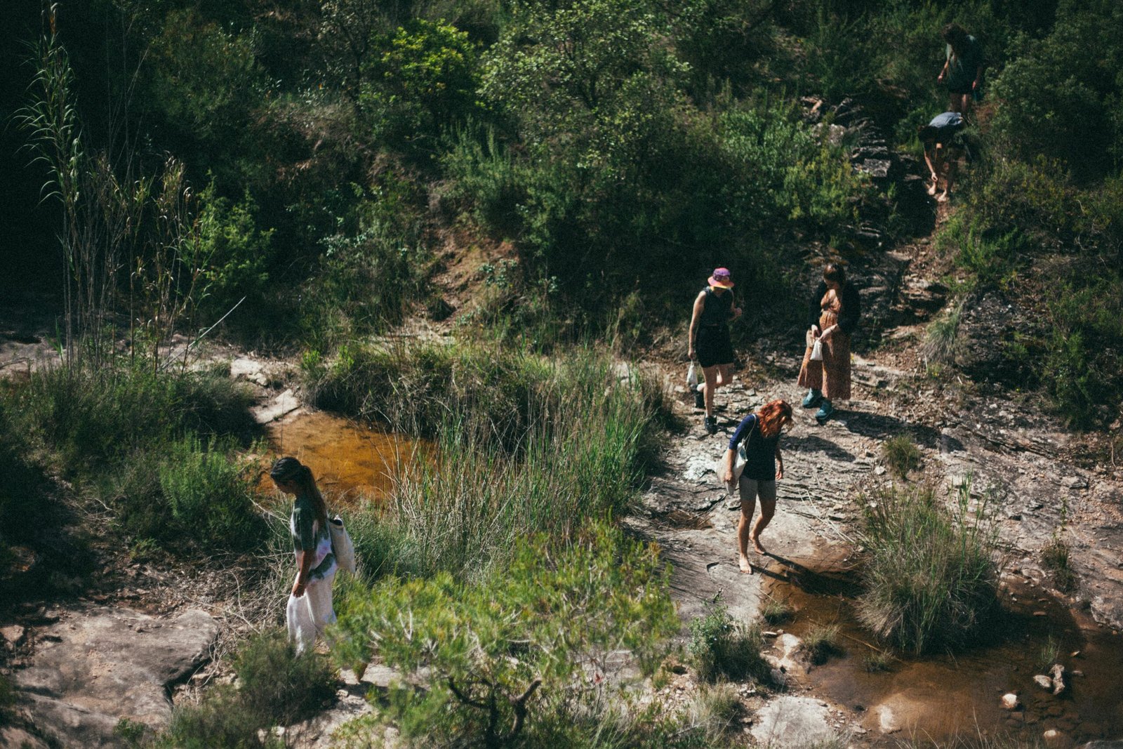 Bosque y natulareza en Cal Miquel