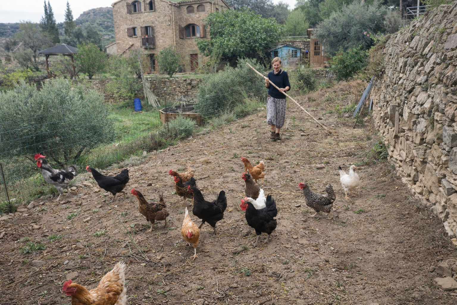 Los animales de Cal Miquel