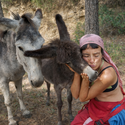 Los animales de Cal Miquel