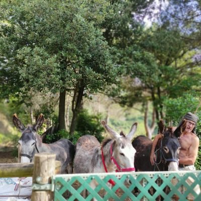 Los animales de Cal Miquel