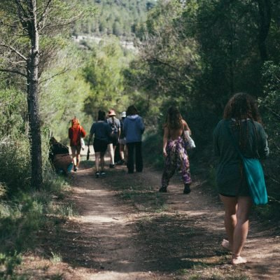 Bosque y natulareza en Cal Miquel