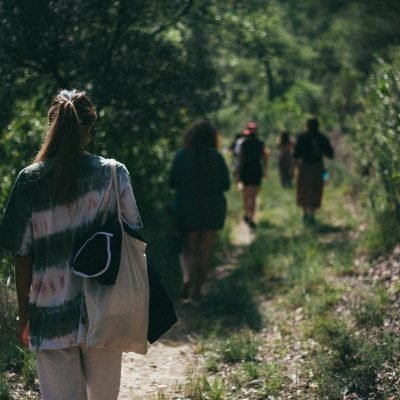 Bosque y natulareza en Cal Miquel