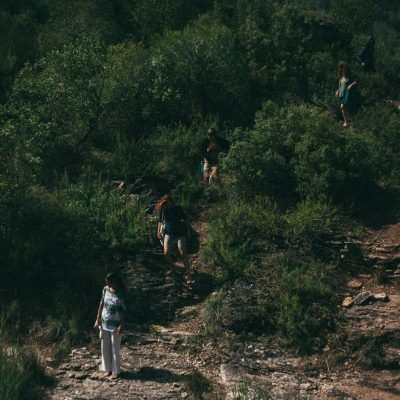 Bosque y natulareza en Cal Miquel