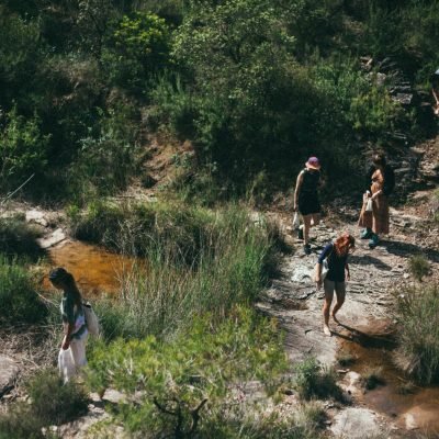 Bosque y natulareza en Cal Miquel