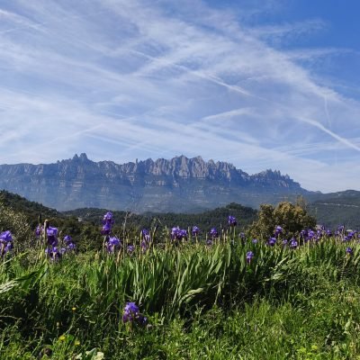 Vistas espectaculares desde Cal amiquel a la montaña de Montserrat