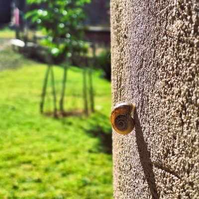 detalles-cal-miquel6