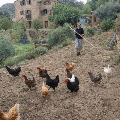 Los animales de Cal Miquel